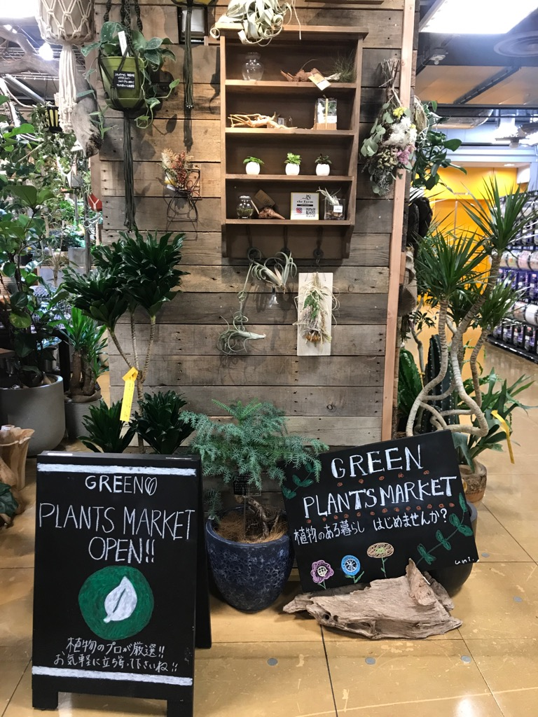 ロフト名古屋 News 株式会社ロフト