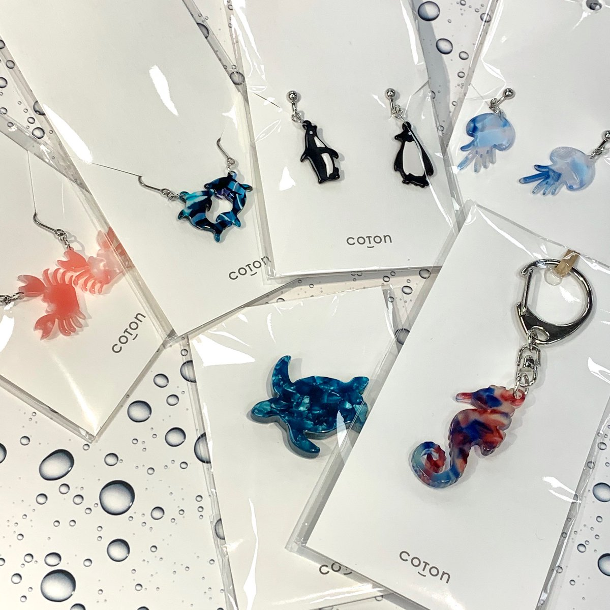 「coton (コトン)」