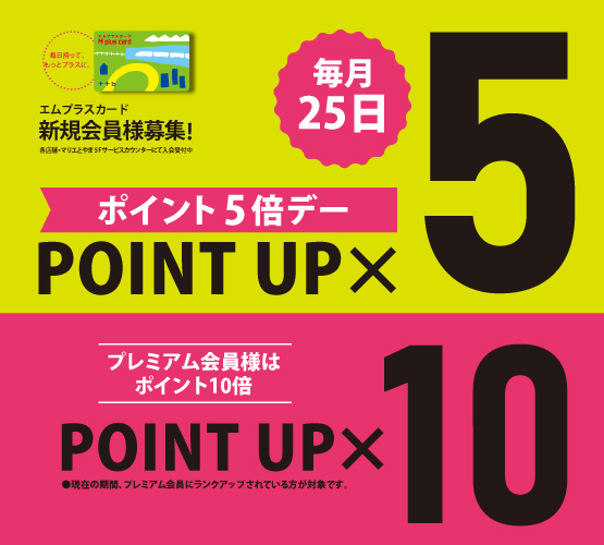エムプラスカードポイント5倍デー