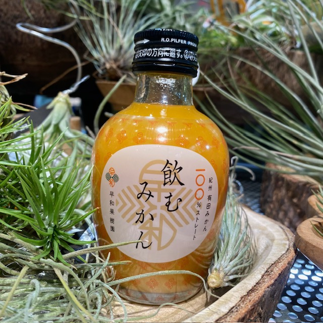 暑い夏、冷たいみかんジュースでひと息いれませんか？