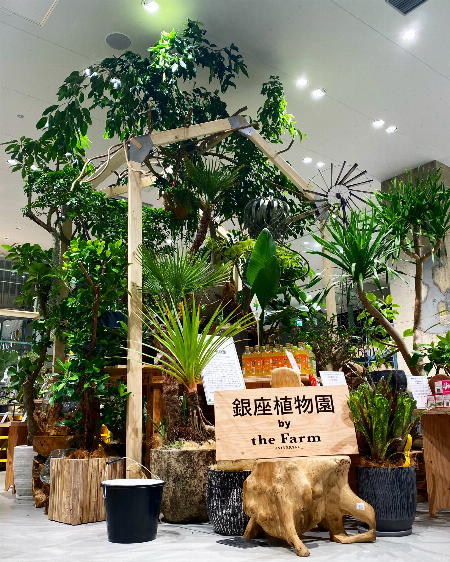 銀座植物園 by the Farm UNIVERSAL GINZA