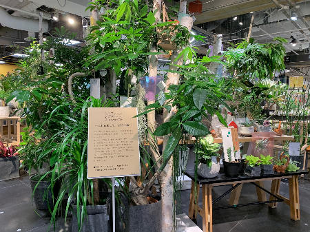 SHIBUYAグリーンパーク