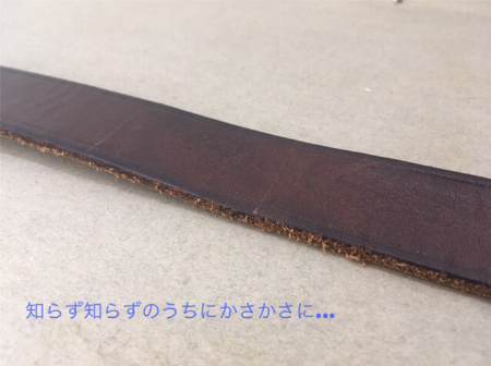 img_item_kotokiji_sub_01