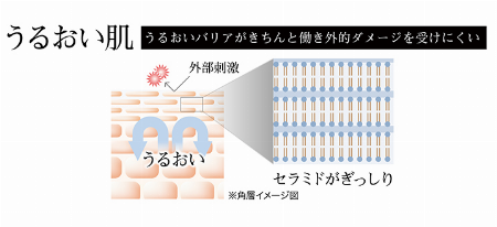 img_item_kotokiji_sub_01