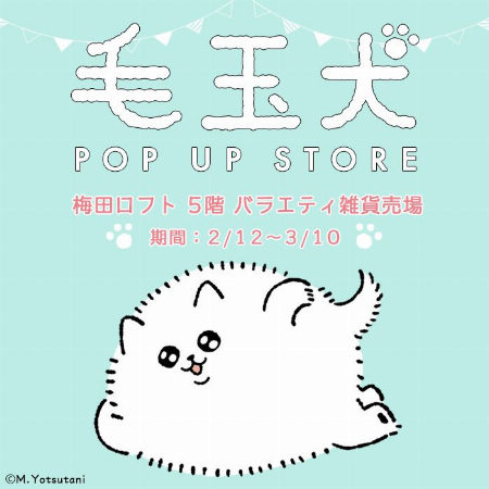 毛玉犬 POP UP STORE