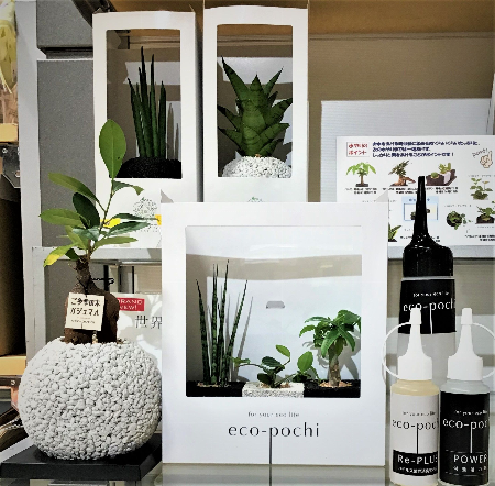 eco-pochi(エコポチ)