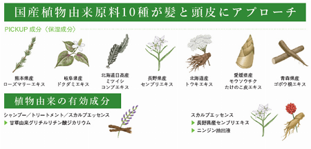 img_item_kotokiji_sub_01