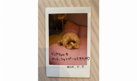 img_item_kotokiji_sub_01