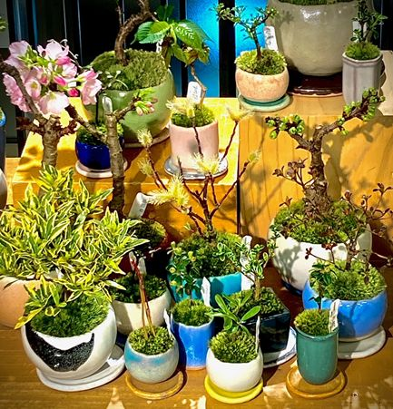 自然の扉「石木花(せきぼっか)」